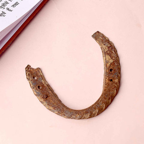 Kale Ghode Ki Naal for vastu dosh and evil eye protection – India’s Largest Pooja Accessories Brand – www.satvikstore.in